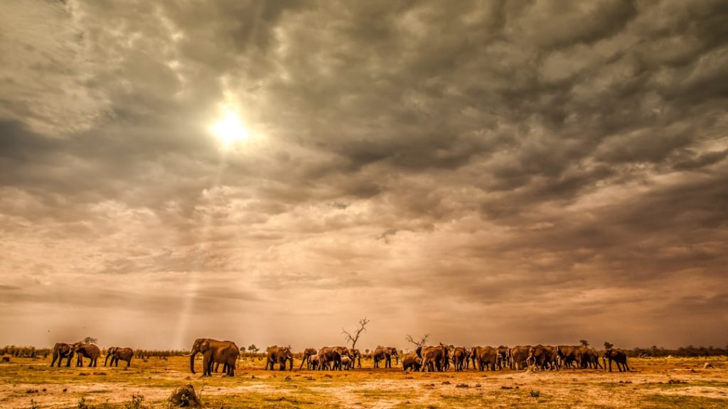 Why Climate Migration Will Redefine Global Talent