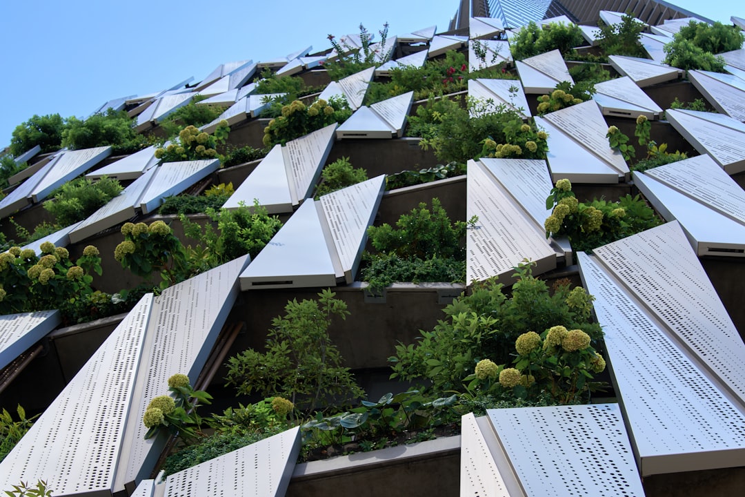 Reimagining Architecture: Innovations for a Sustainable Future