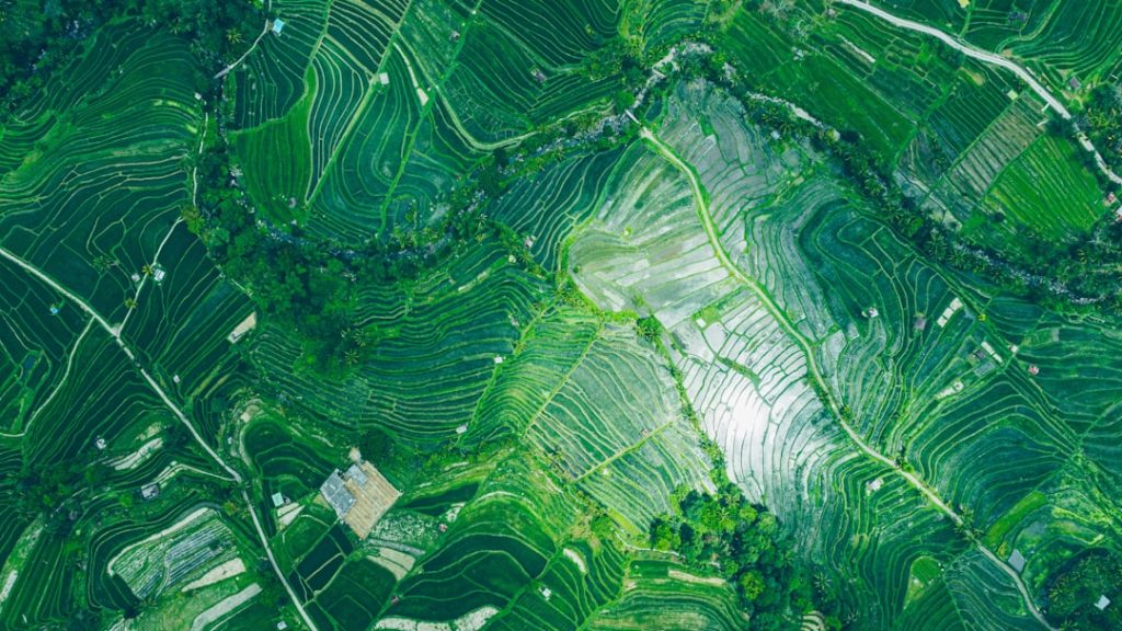 How Satellite Data Is Revolutionizing Earth’s Agriculture, Climate, and Health Forecasts