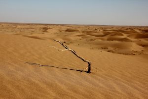 FLOOD-CDT Seeks PhD Candidate for Climate Resilience Research