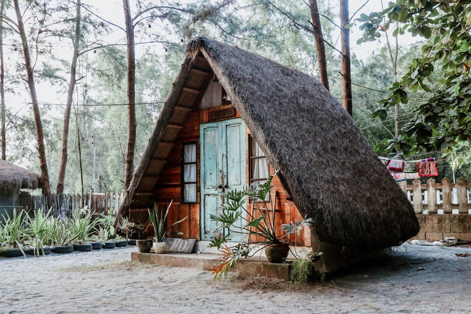 World Travel & Tourism Council Reports 112% Increase in Sustainable Tourism Bookings for 2025