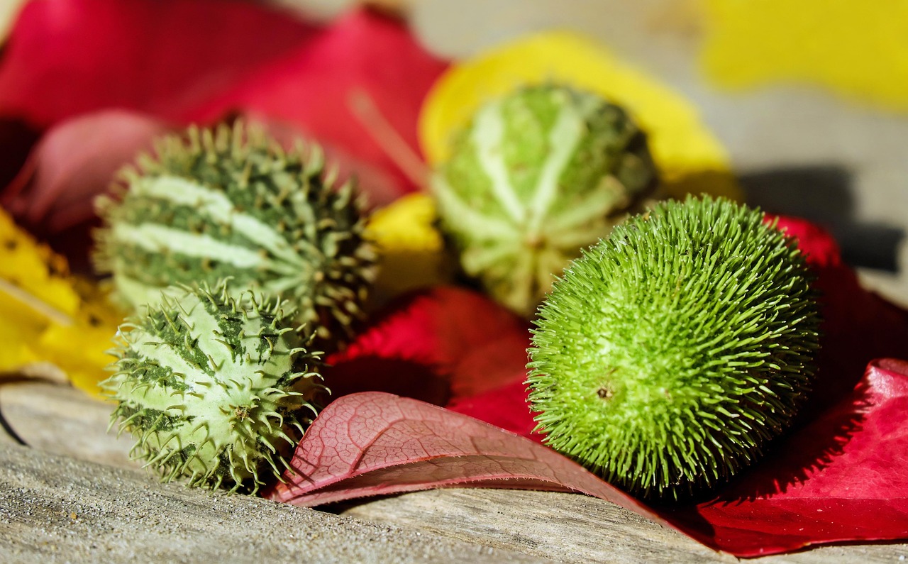 How Inc. Guides Managers to Lead Gen-Z Effectively