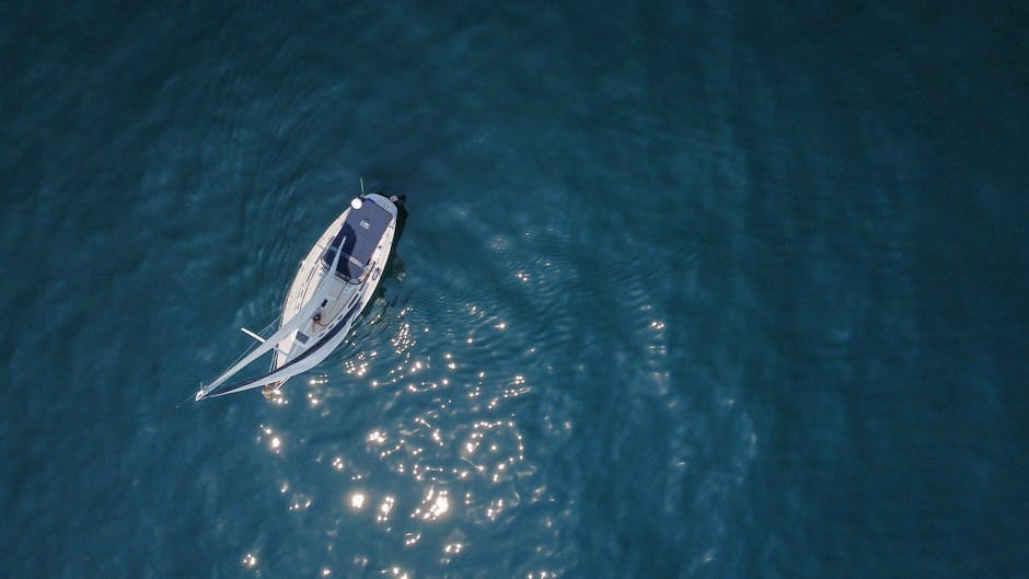 Meesho’s IPO Sparks Investor Interest with Strong Demand