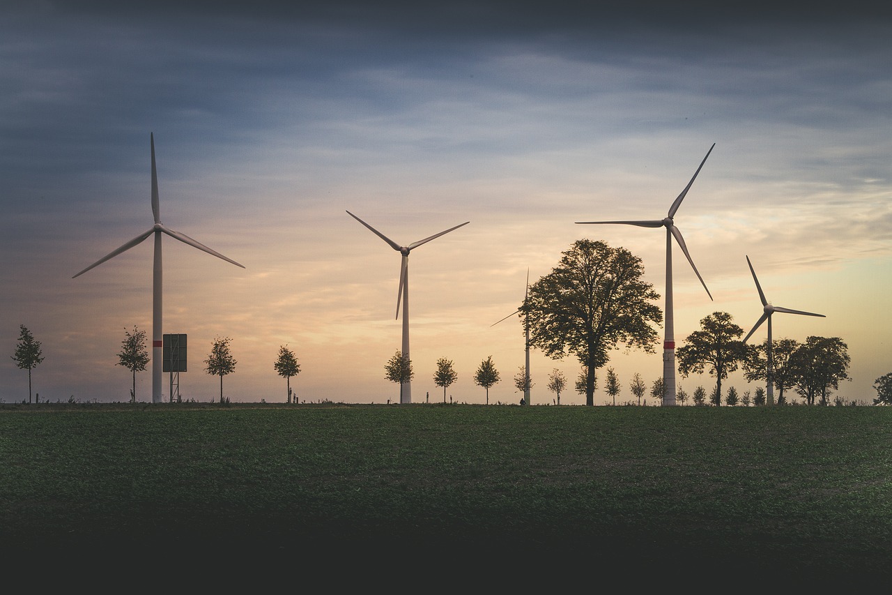 The Strain on Dutch Power Grids Is Slowing Economic Growth