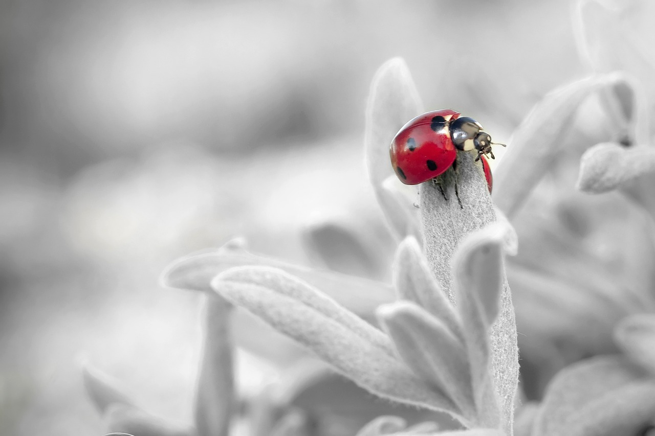 Micro-Internships: The Future of Flexible Work Experience