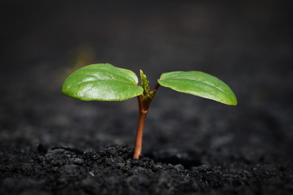 Why Entrepreneurial Thinking Increases Your Value at Work