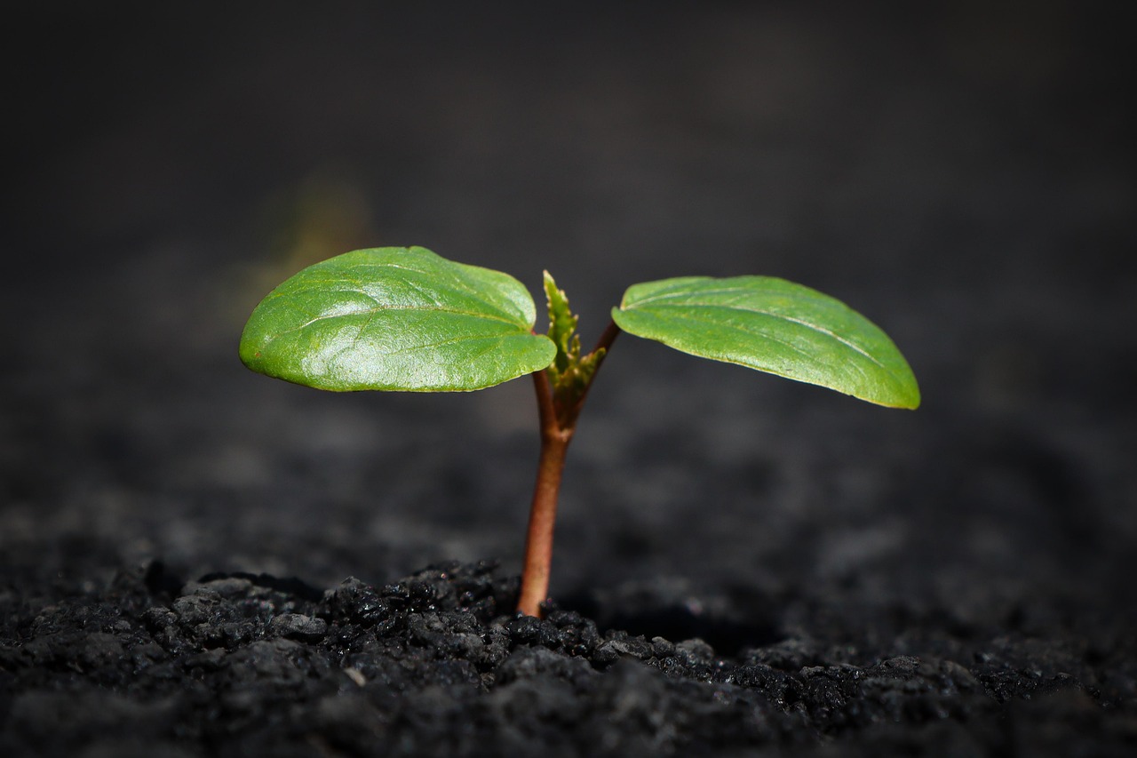 Why Entrepreneurial Thinking Increases Your Value at Work