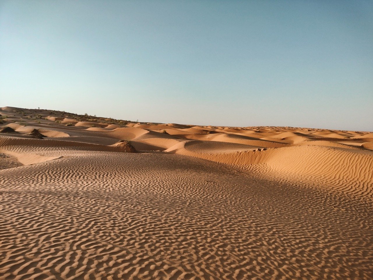 How Management is Shaping Careers in 2025