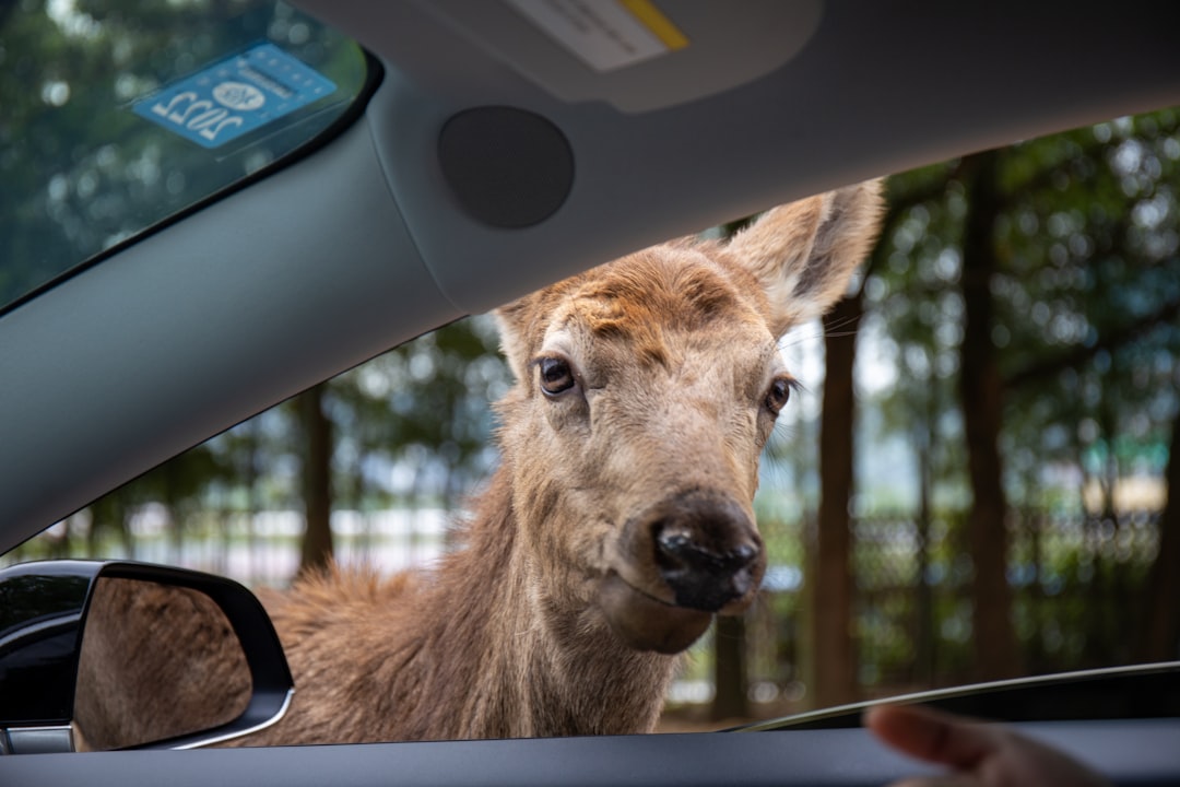 Uber's Controversial Background Check Policies Allow Violent Felons to Drive