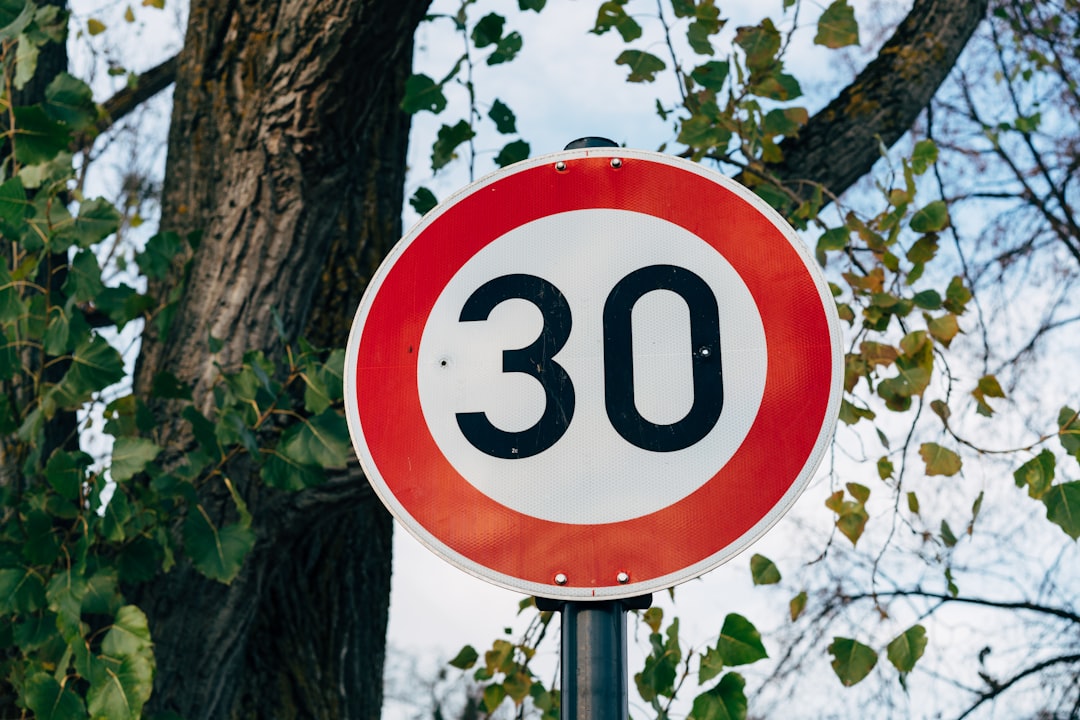 Young Adults Postponing Life Milestones: A 2025 Overview