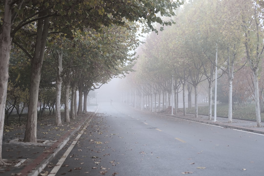 Schools Closed in Delhi NCR Amid Rising Pollution Levels