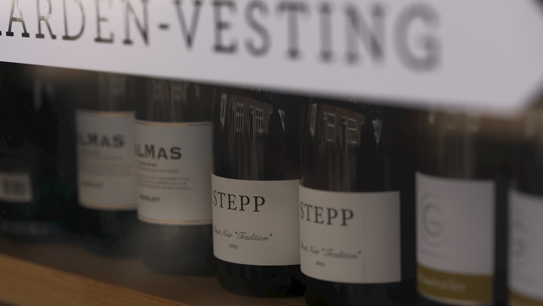 One Nation, One Portfolio: The Risk of AI Bias in Investing