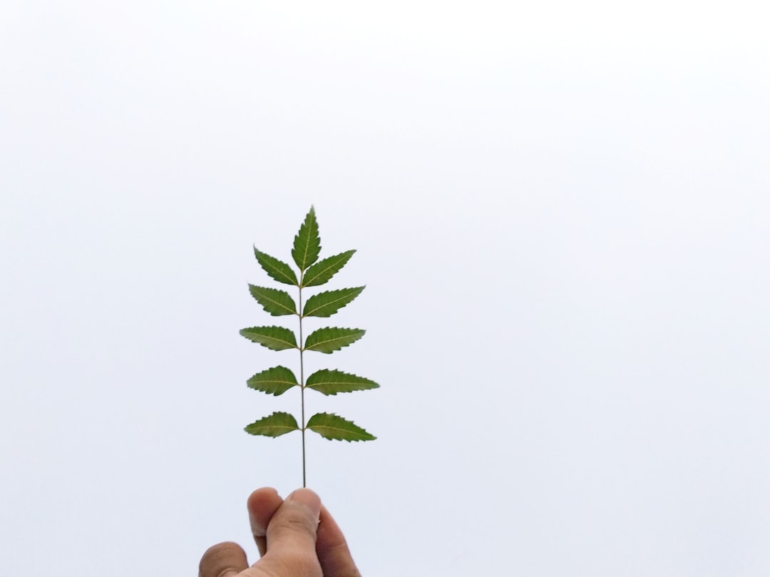 Why Ethical Consumers Are Reshaping Business Practices