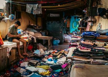 Career Paths after Graduation