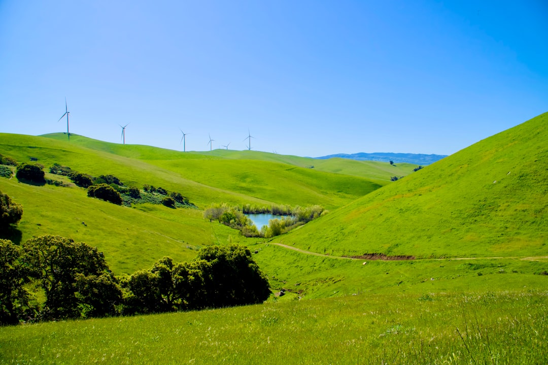 ‘The biggest transformation in a century’: how California remade itself as a clean energy powerhouse