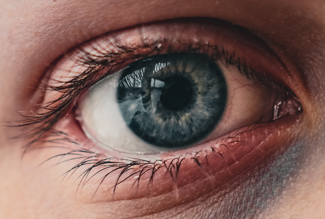 The Future of Work: LED Monitors and Eye Health in 2025