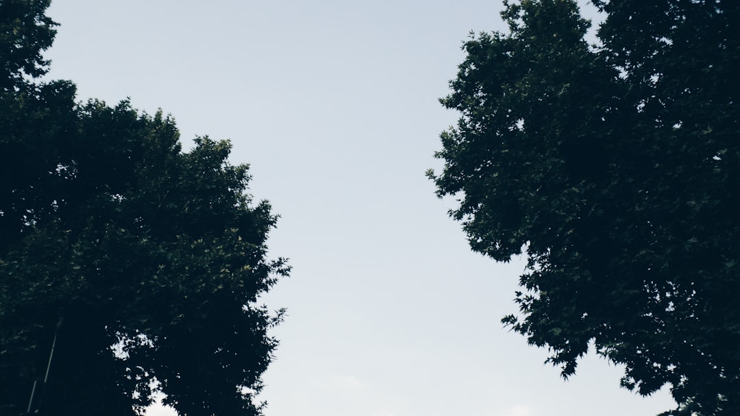 How to Build a Career That Aligns With Your Values