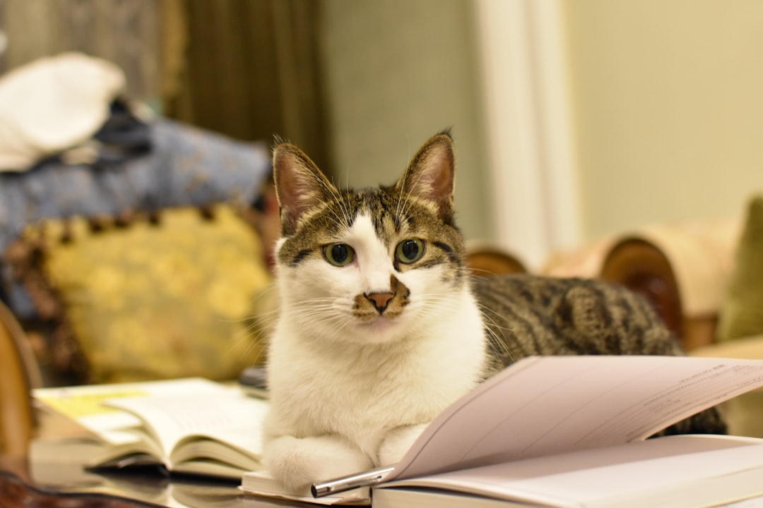 CAT Result 2025: Essential Steps for Downloading Your Scorecard