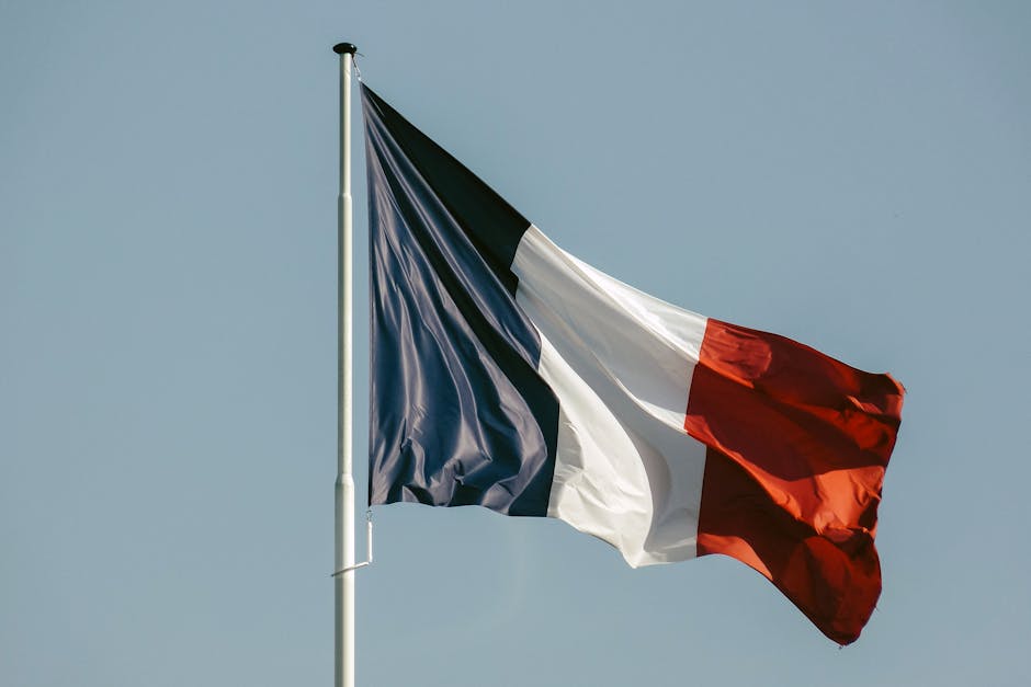 The French Government Ditches Zoom and Microsoft Teams for Visio