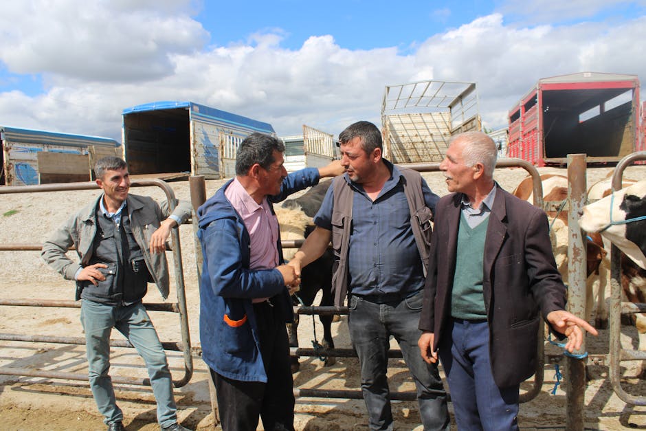 Why The European Union And Mercosur Signed A Major Trade Deal After 25 Years