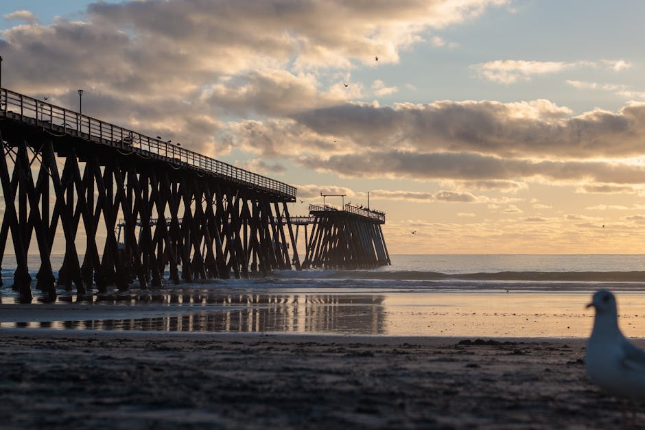 Ola Electric Cuts Workforce Amid Automation Push