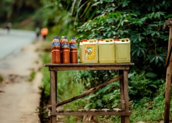 AI Knowledge Work Gen Z