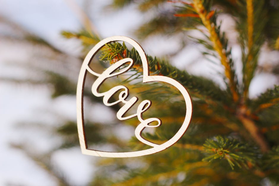 Equity Mutual Fund Inflows Declined 6% in December, AMFI Data Shows