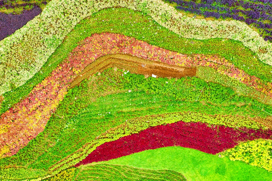 Indonesia Tightens Grip on Resources With Switzerland-Sized Land Grab