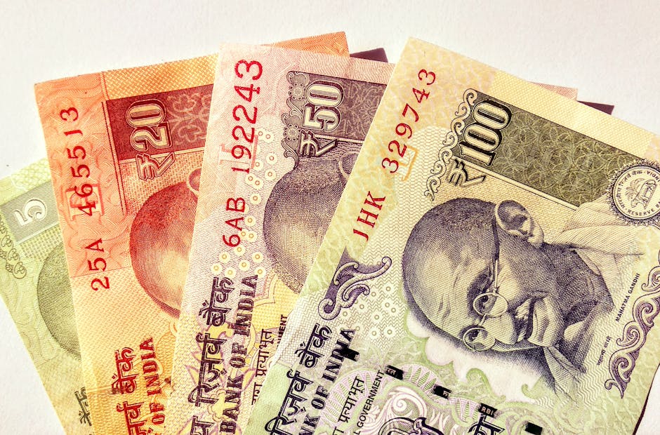Balancing Growth and Stability in the Indian Budget