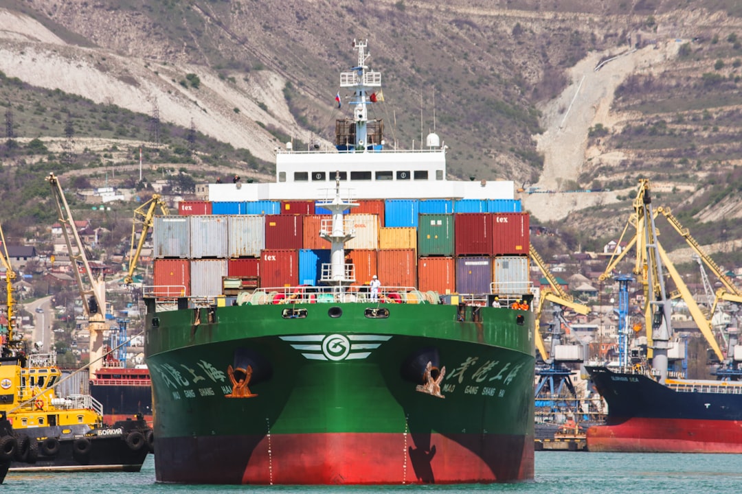 Dealing with post-Brexit paperwork ‘pure hell’, shipping head tells MPs