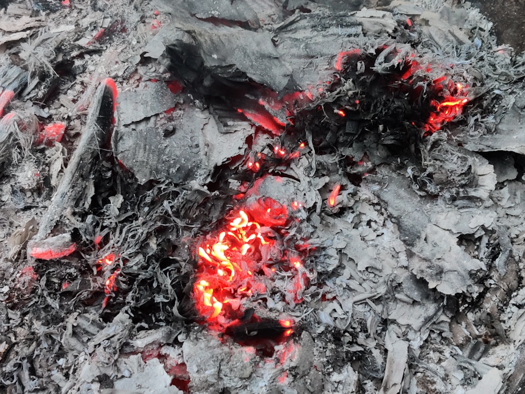 BCCL IPO Sparks Confidence for Future Coal India Subsidiary Listings