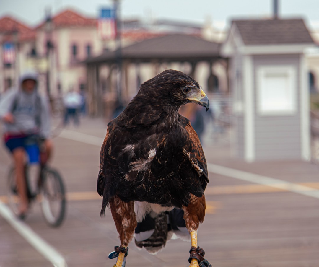 New Jersey's E-Bike Crackdown: What It Means for Riders