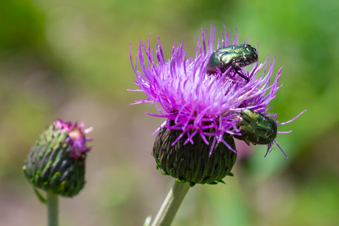 Tech CEOs Spar Over AI Futures at Davos