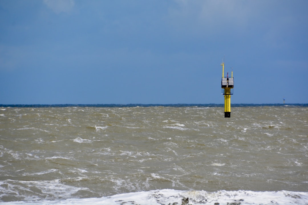 Legal Setbacks for Trump Administration Favor Offshore Wind Projects