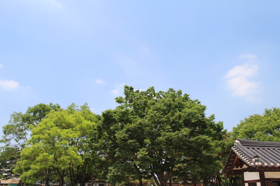 Telangana Government's Notice to Maulana Azad University: A Call for Action on Unused Land