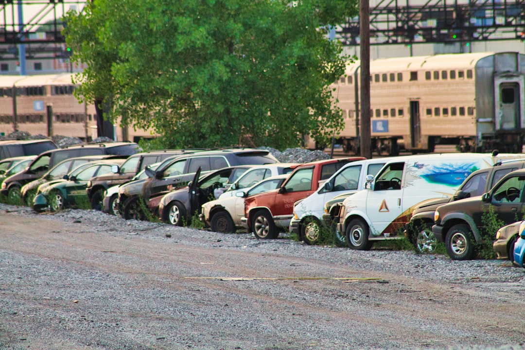 BYD Surpasses Tesla to Become the World's Largest Electric Car Seller