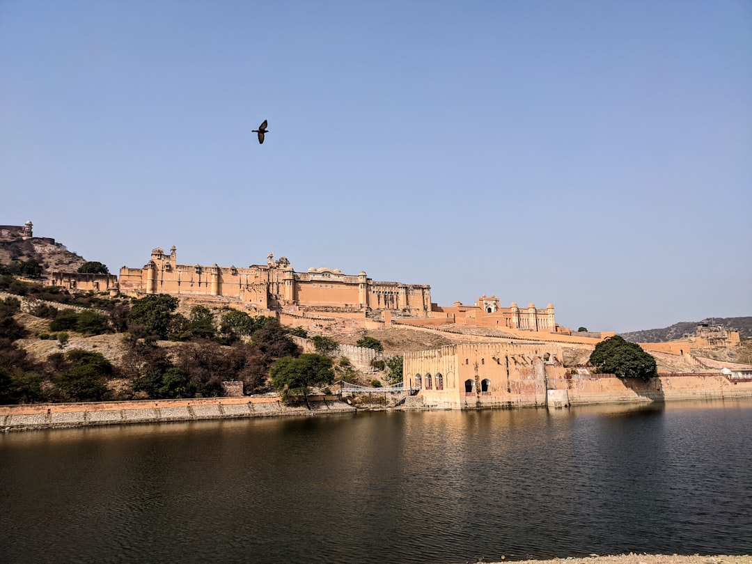 Rajasthan RSSB Announces 804 Lab Assistant Vacancies for 2026