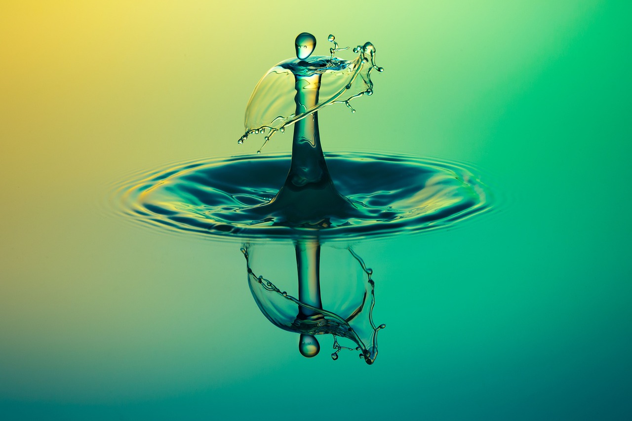 Terradot's Strategic Acquisition: A Game Changer in Carbon Removal