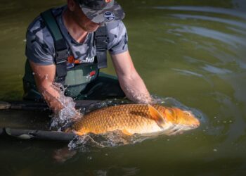 Why Every Student Should Learn Programming