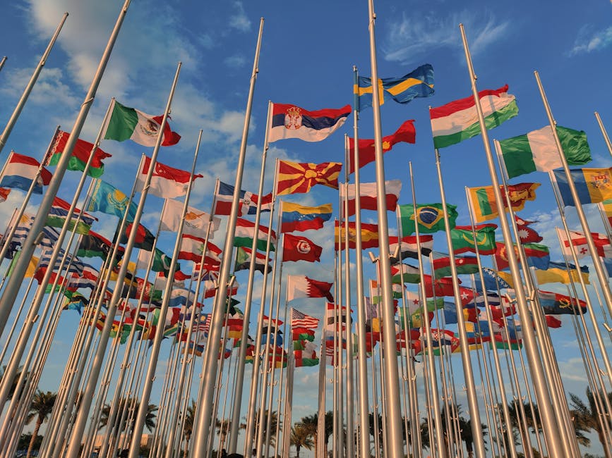 Global Cooperation on AI: The New Delhi Declaration's Impact