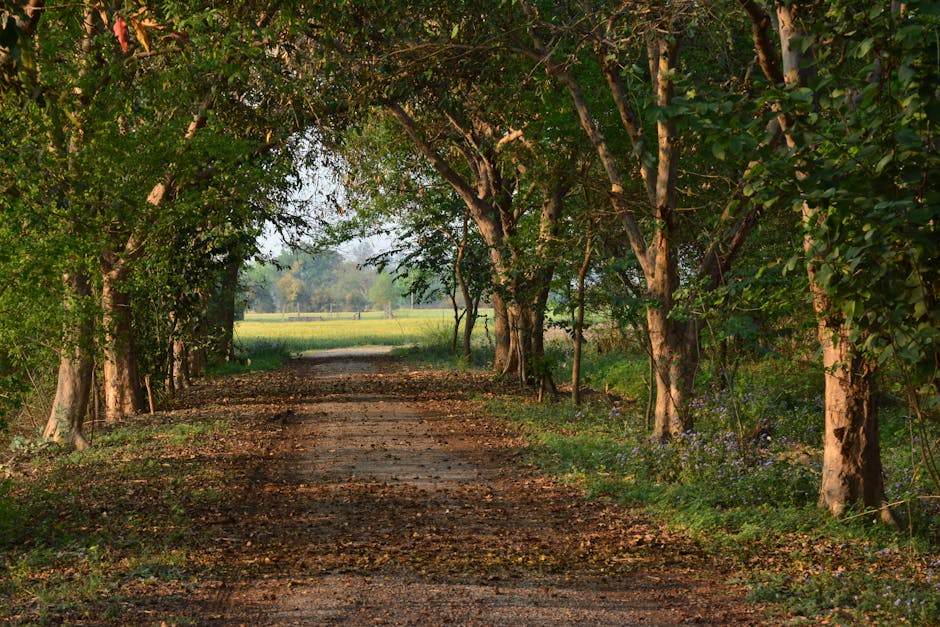 India's Path to Sovereign AI: A Call for Independence