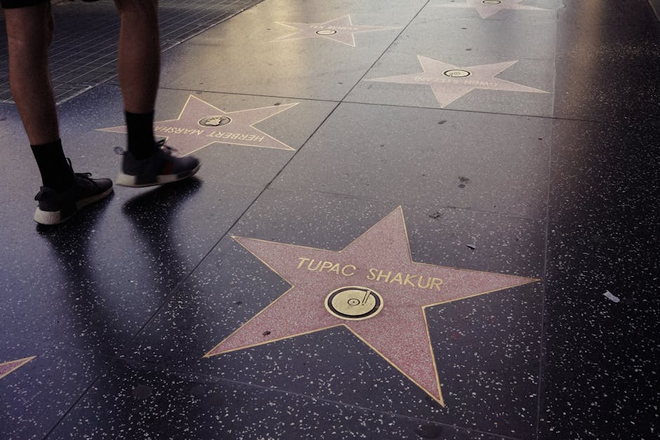 Hollywood's Backlash Against Seedance 2.0: A Threat to Creative Control?