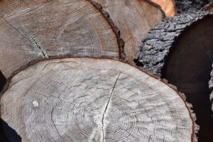 Section 230 Turns 30: Navigating Its Future Amid Challenges