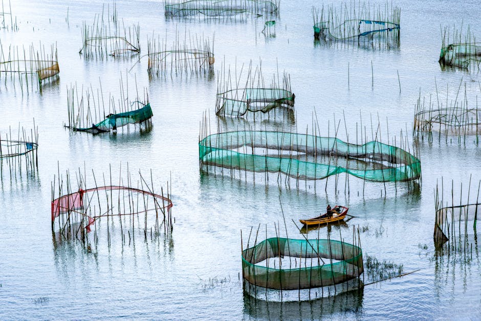 Transforming Ocean Waste: A New Furniture Revolution