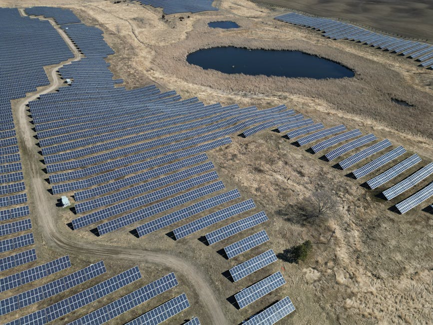 New Solar Farms to Transform Energy Landscape After Record Auction
