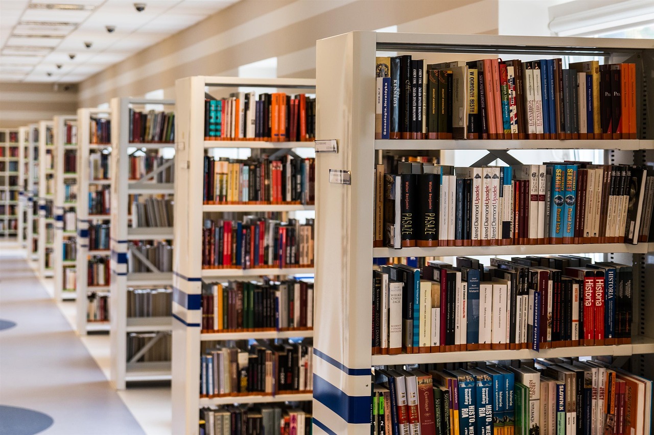 AI's Role in Knowledge Management: Insights from Employees and Managers