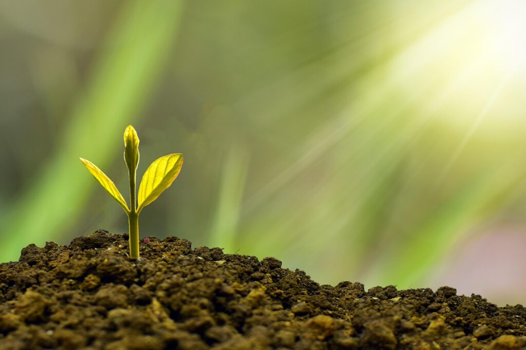 Building Sustainable Business Models for 2025