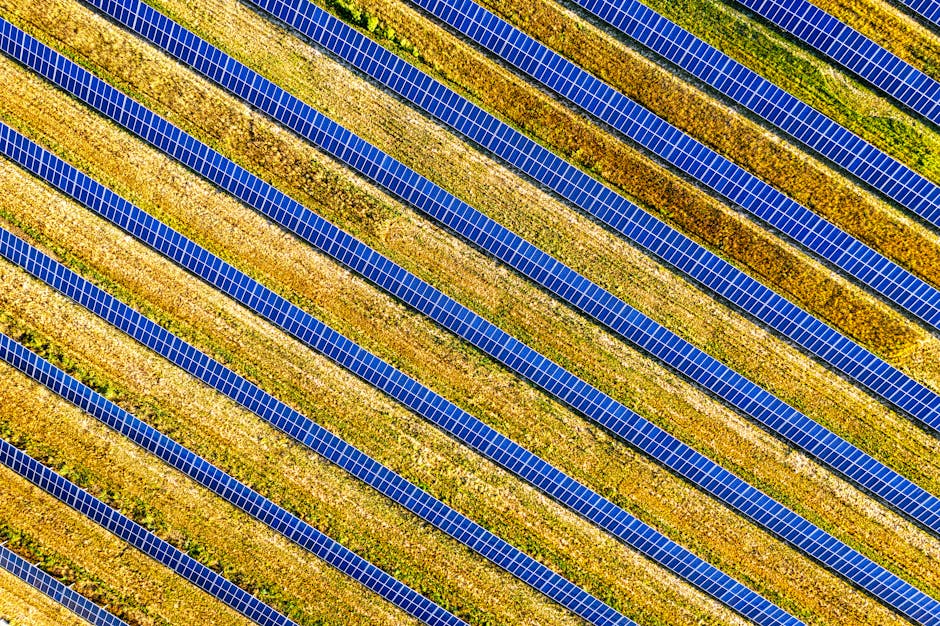 New Solar Farms to Transform Energy Landscape After Record Auction