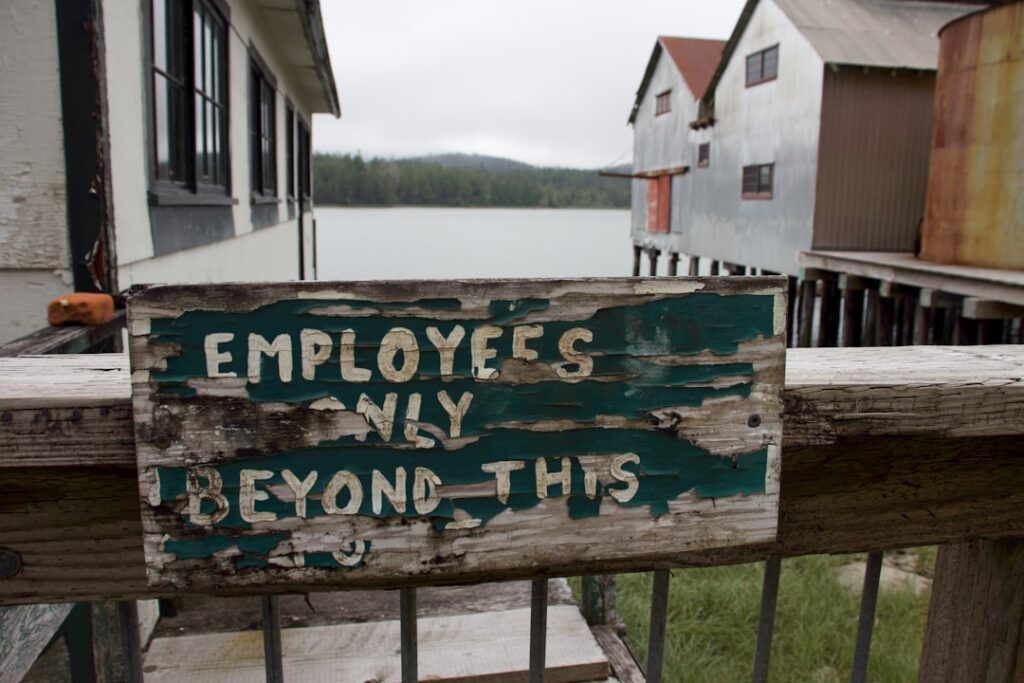 AI in Knowledge Management: Understanding Employee Perspectives