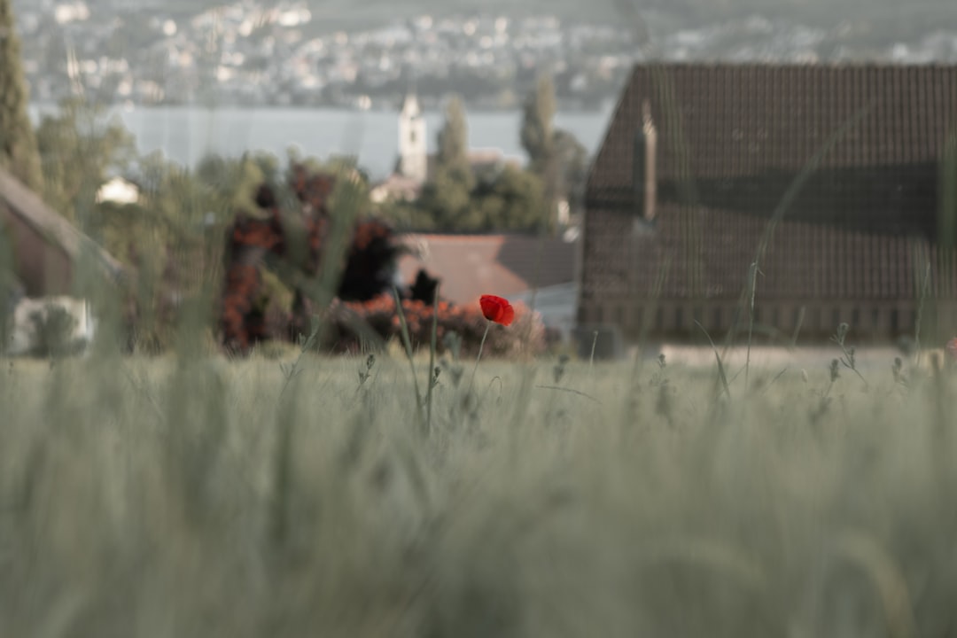 F.B.I. Raids Target LAUSD Chief Alberto Carvalho Amid Federal Inquiry